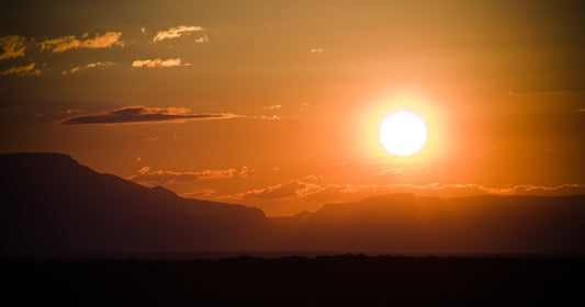 Aceites Africanos para la Piel: Guía Comparativa