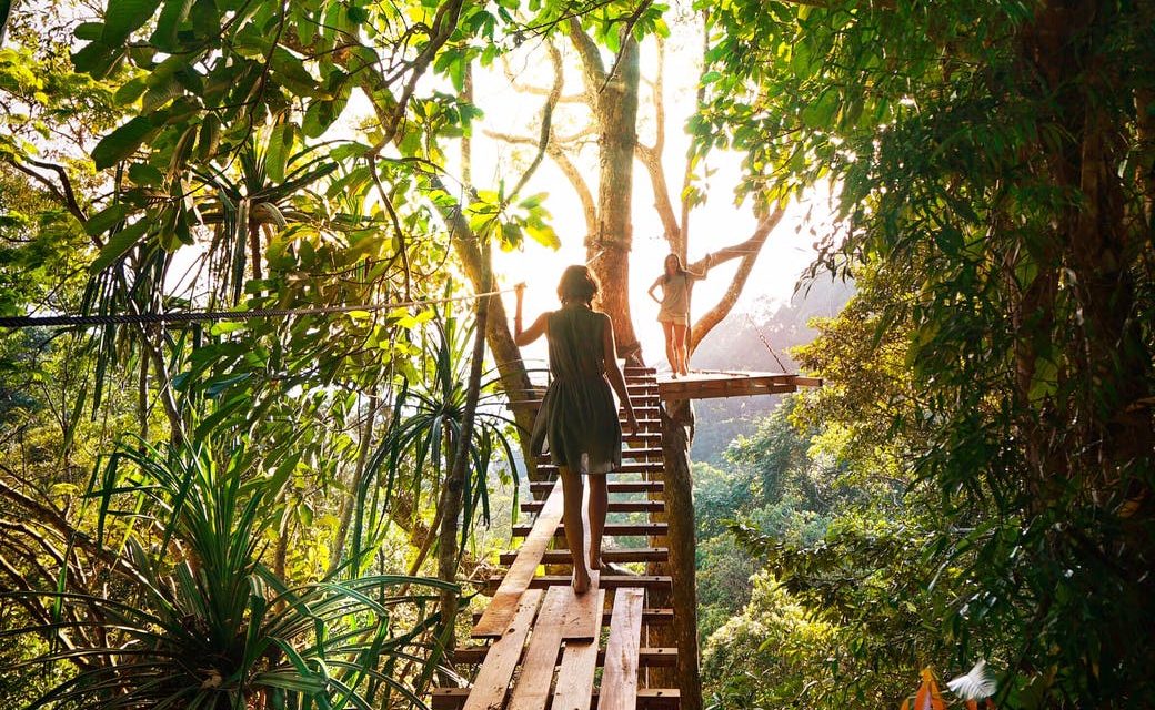 Aceite de Buriti, el elixir natural antiedad del Amazonas